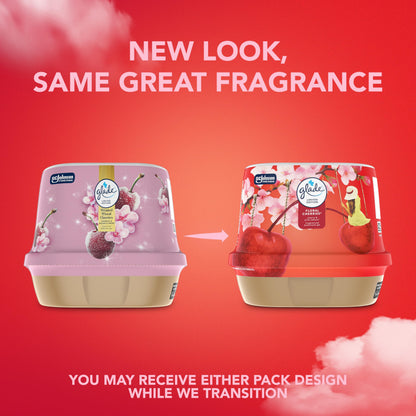 Floral Gel Air Freshener – Long Lasting Bathroom Odor Eliminator